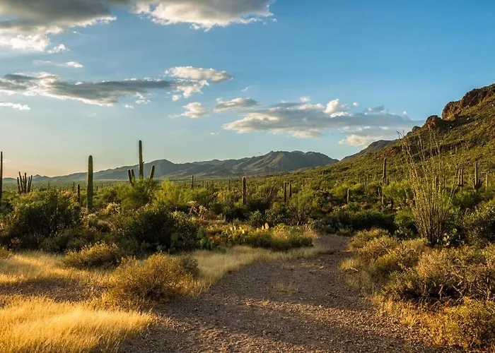 Desert Escape In Arizona Holiday home