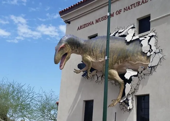 Desert Escape In Arizona Avondale